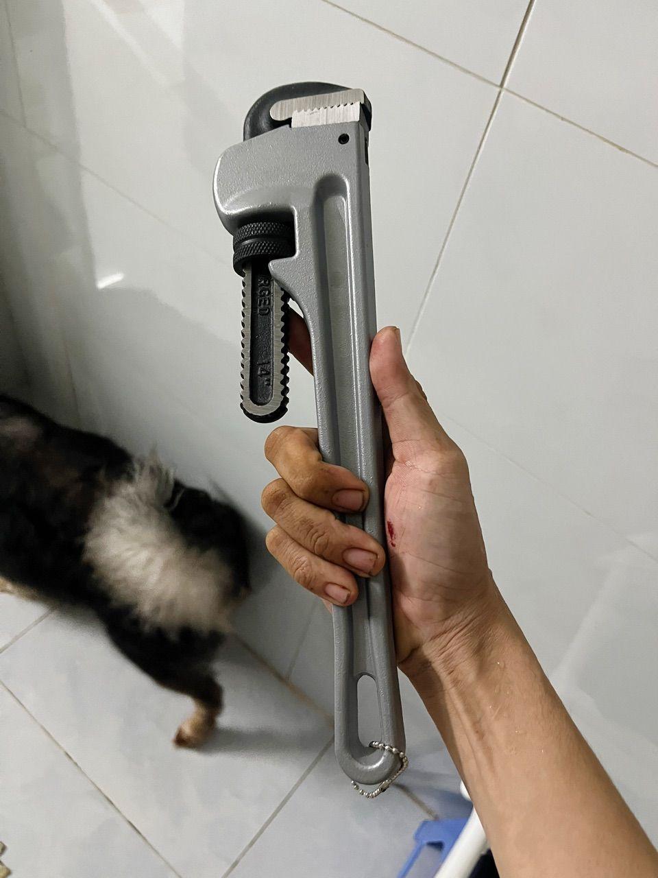 MỎ LẾT RĂNG TAY CẦM NHÔM KÍCH THƯỚC 10INCH WPW9110 WADFOW - HÀNG CHÍNH HÃNG