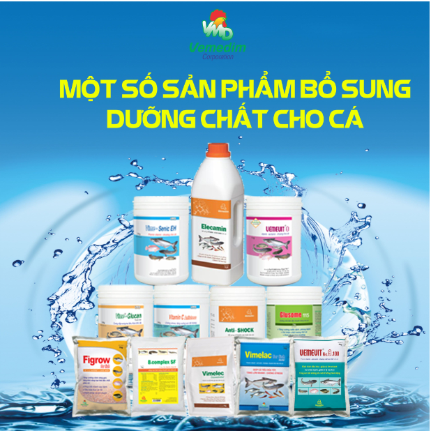 Bổ sung vitamin nhóm B tăng chuyển hóa thức ăn cho tôm cá B.Complex SF