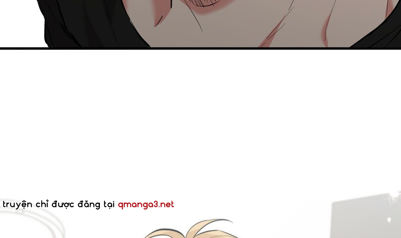 những chú thỏ của hapypy chapter 51 296