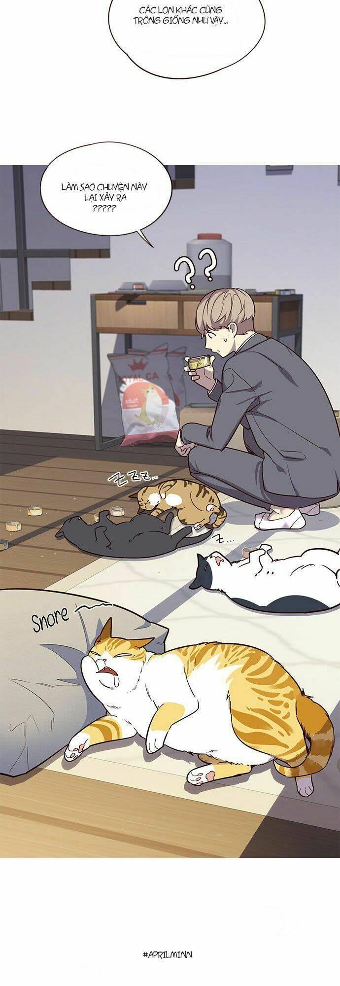 biến thân thành mèo chapter 6 46