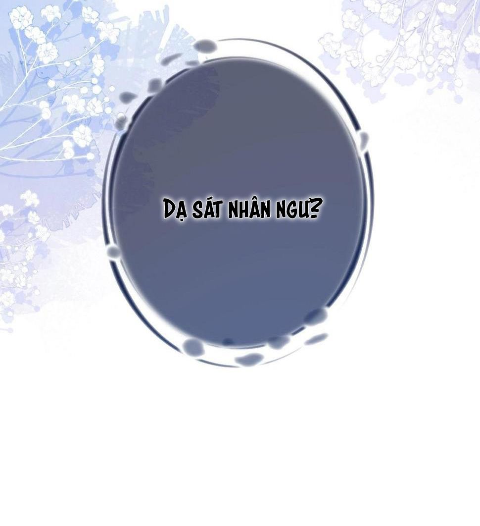 người cá desahrow chapter 1 20