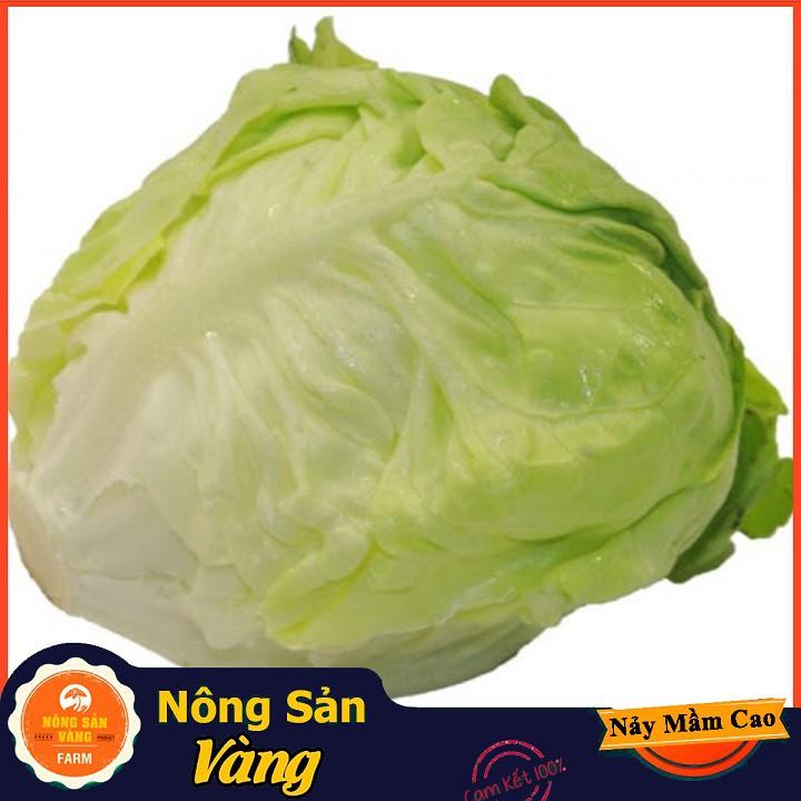 Hạt giống Xà Lách Búp Mỡ , Xà Lách Đăm