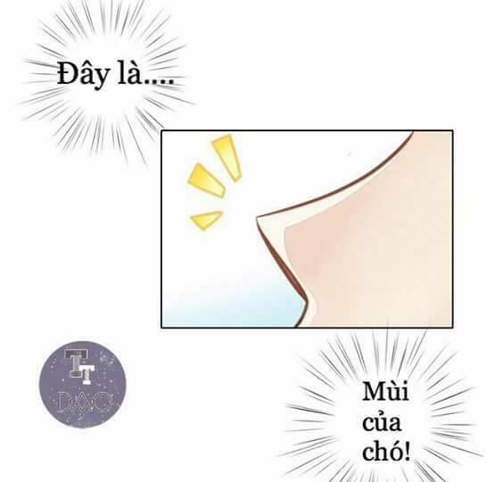 dưới móng vuốt mèo chapter 8 9