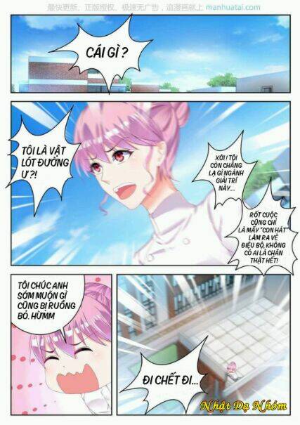 tiểu thư tái xuất chapter 6 6