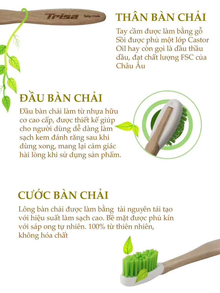 Bàn Chải Đánh Răng Thân Gỗ Nhập Từ Thụy Sỹ Trisa Natural Clean