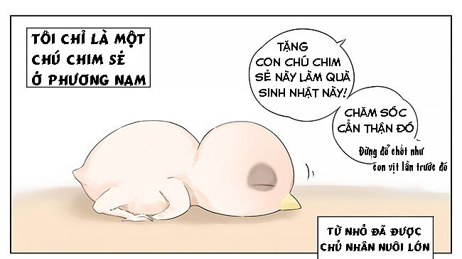 sẻ chiếu mới và nhạn phong sương chapter 10 1