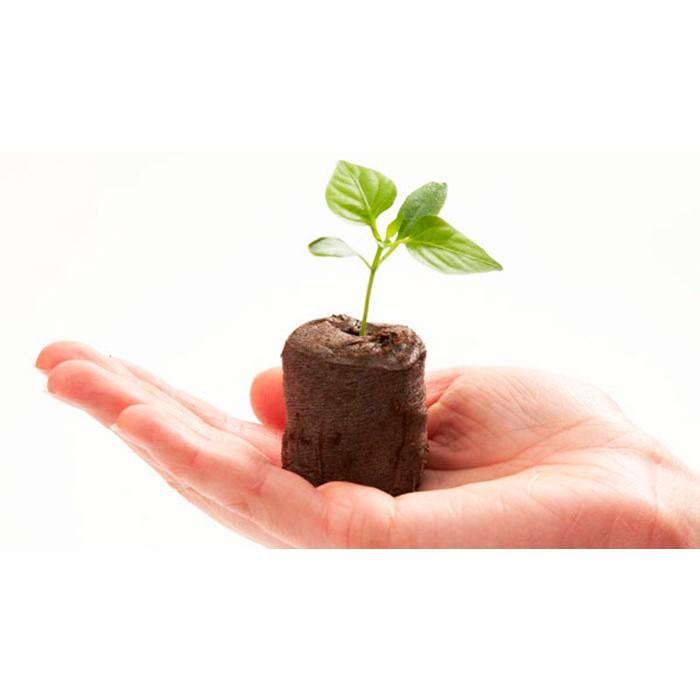 Viên nén ươm hạt sơ dừa dùng cho hạt giống tốt