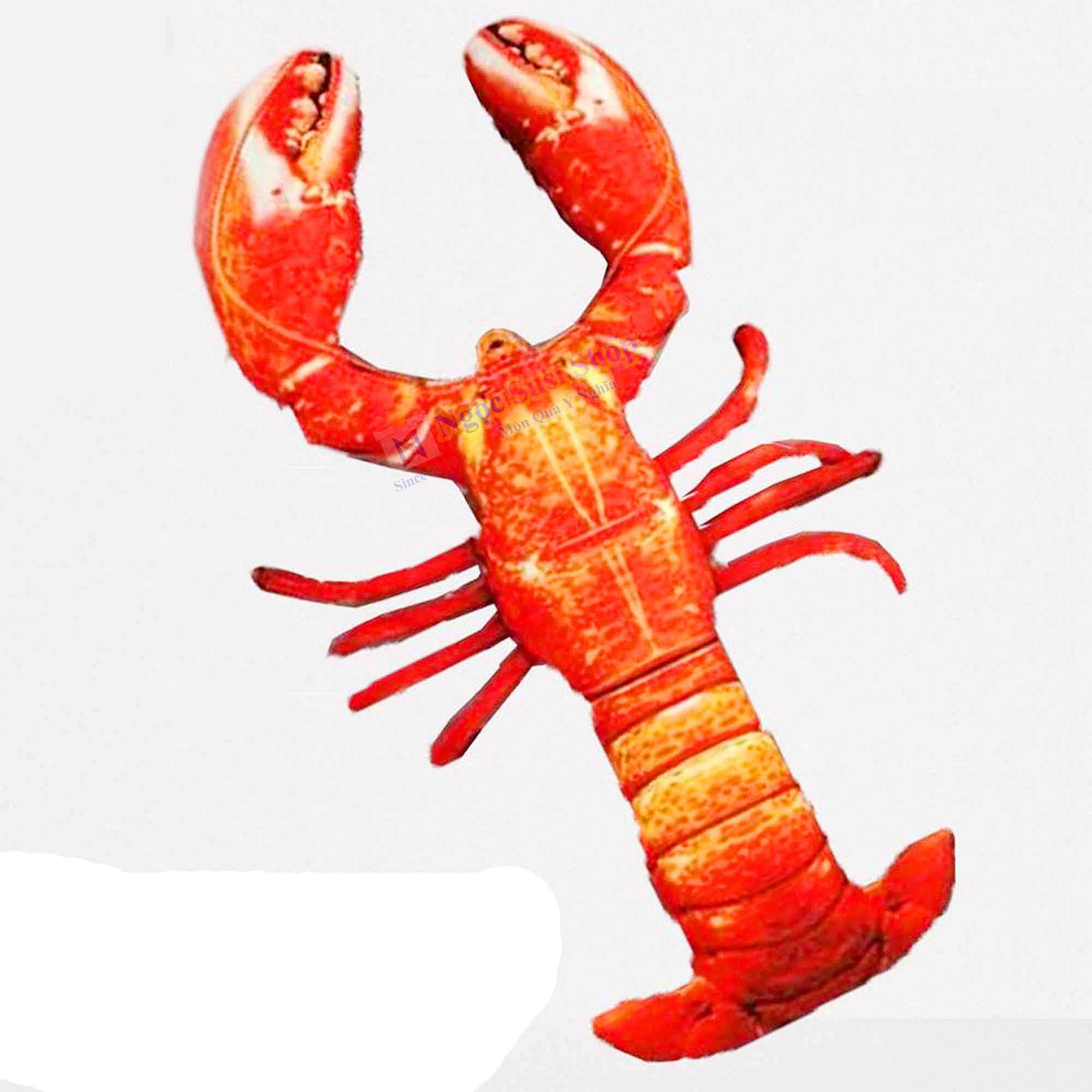 Mua [Hàng Hiếm] Gấu Bông Tôm Hùm Alaska 3D Khổng Lồ [Hàng Độc] - 80Cm Tại  Ngọc Susi Shop | Tiki