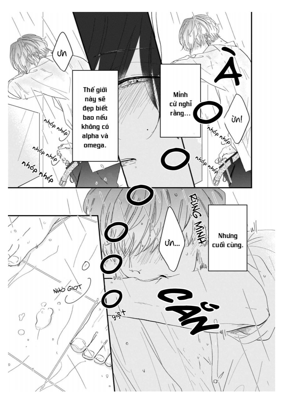 [18+] alpha của riêng tôi chapter 2 6