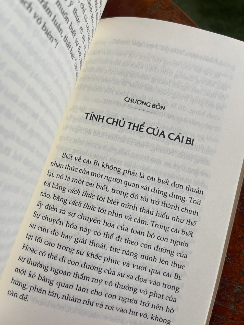 CÁI BI – Karl Jaspers – Bùi Văn Nam Sơn dịch – Phanbook – bìa mềm