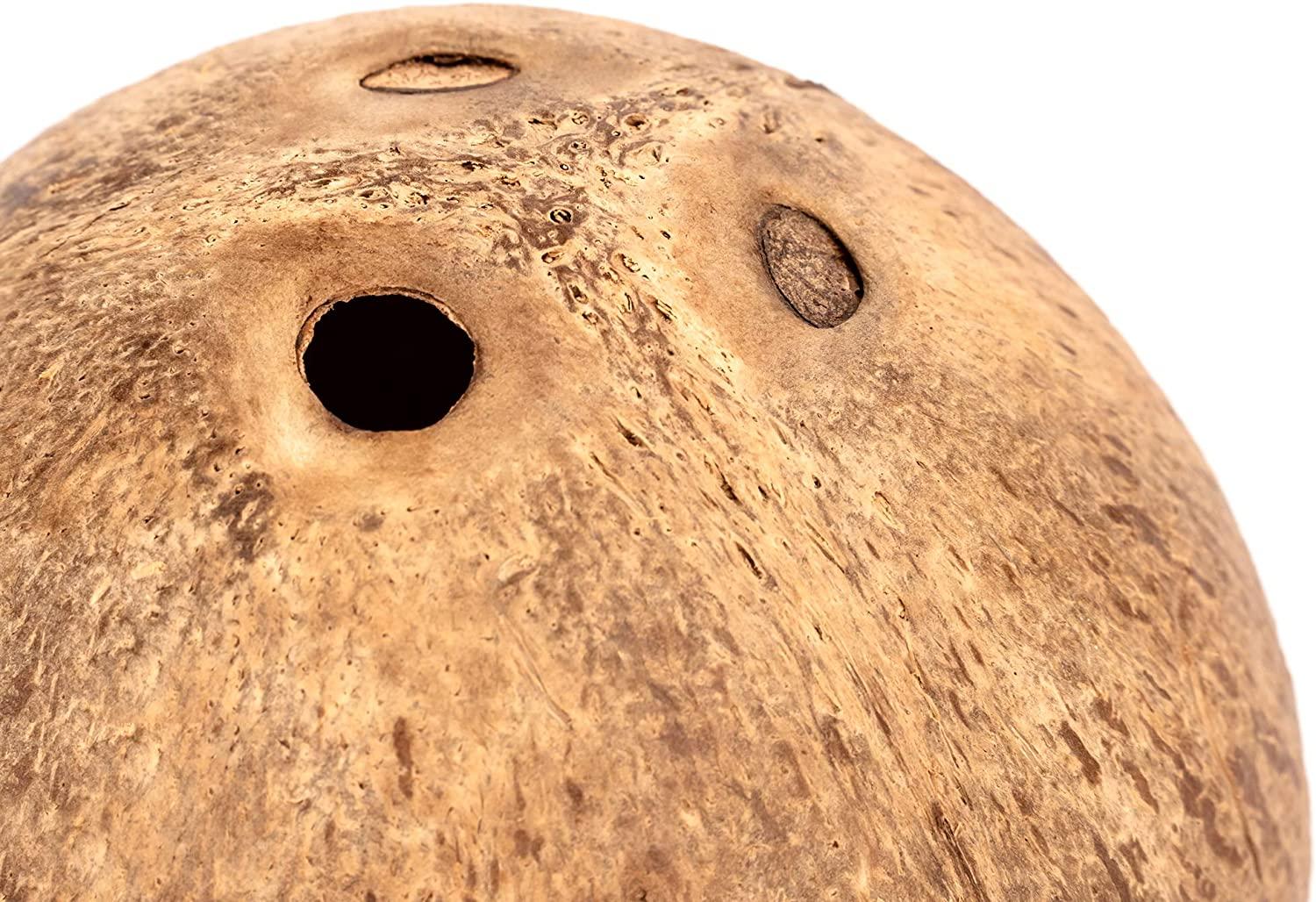 Dừa Hut Hamster House Giường để trang trí môi trường sống cho động vật nhỏ