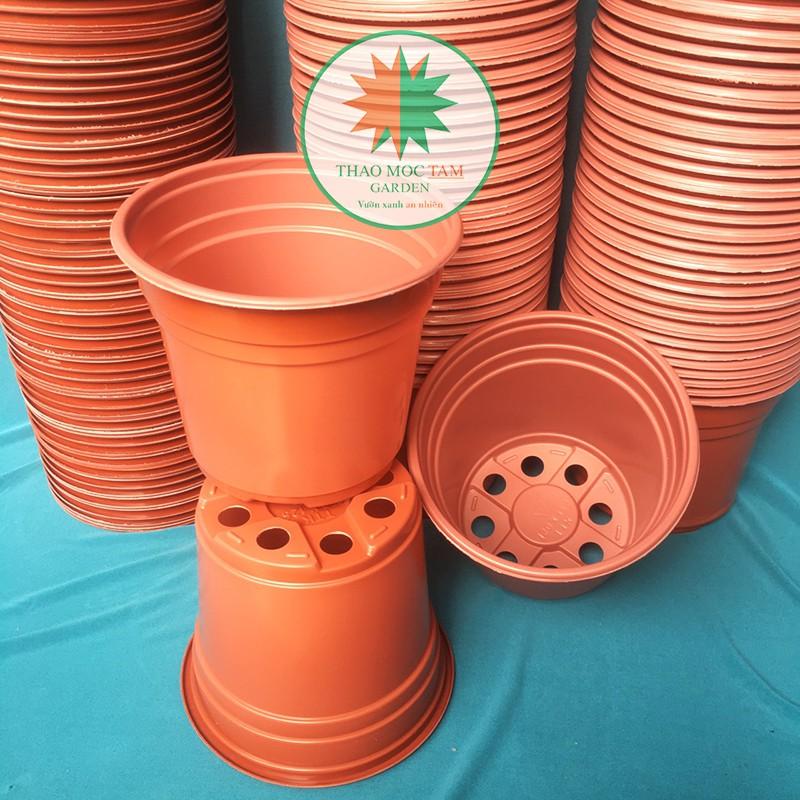 10c Chậu nhựa trồng hoa 15x12.5cm  - Chậu chuyên trồng hoam dâu tây nhà vườn