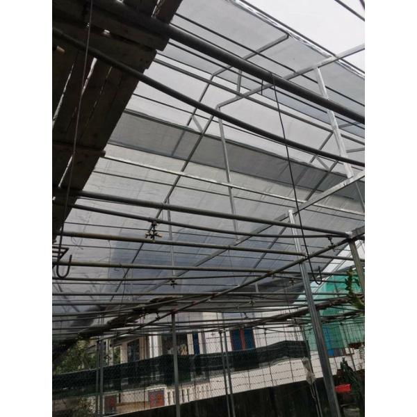 Mảnh lẻ lưới Đài Loan khổ 2*15m