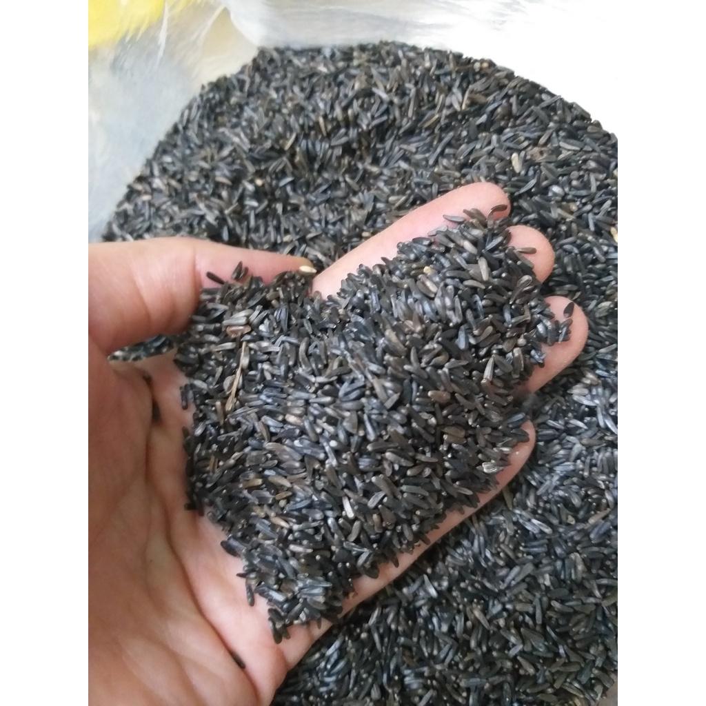 200g hạt Niger tác dụng kích cồ cho chim vẹt