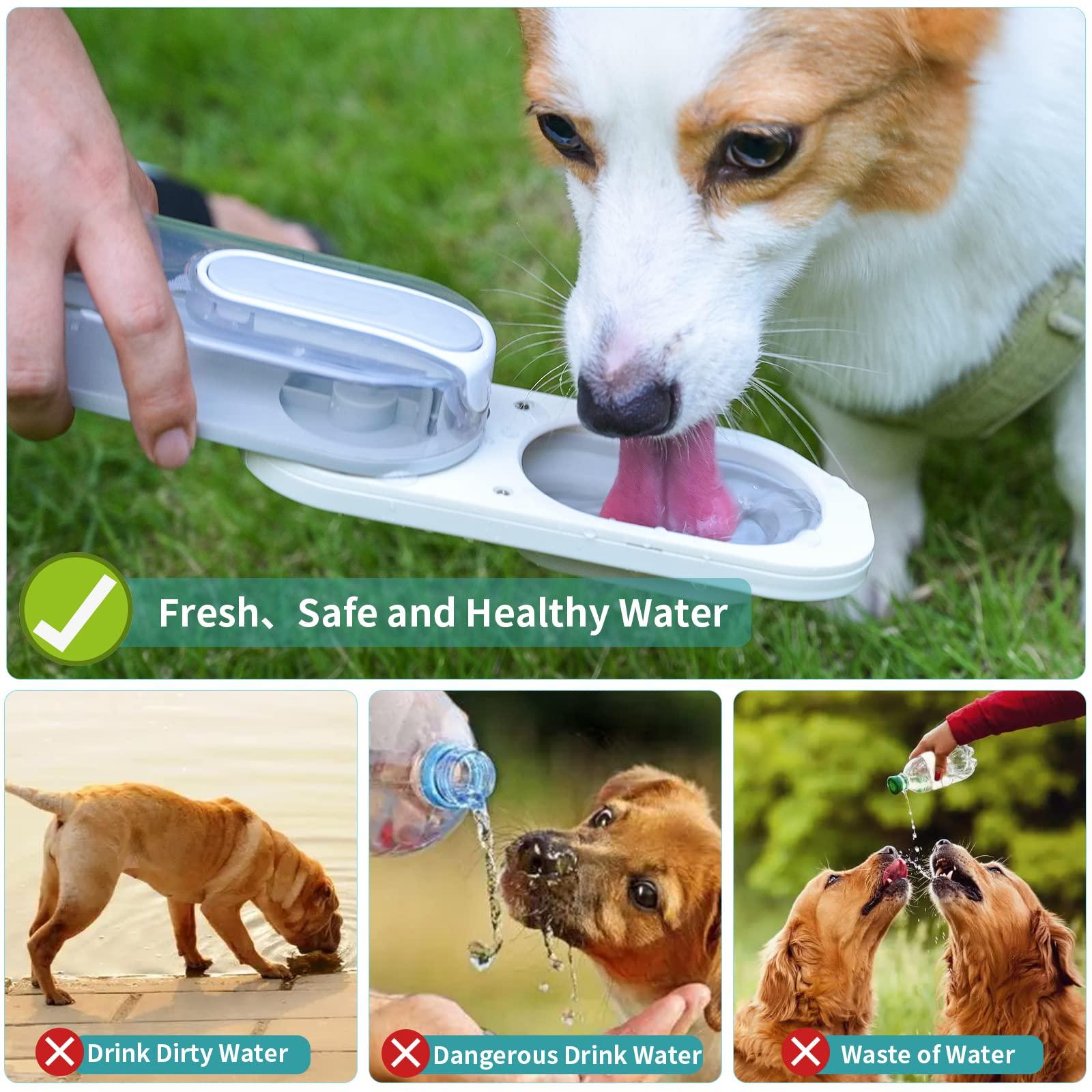 Chai nước chó, chó uống chó khi đang di chuyển, chai nước có thể gập lại di động cho vật nuôi được phát triển cho mèo/thỏ/chó trong khi đi bộ, đi bộ và du ngoạn ngoài trời.