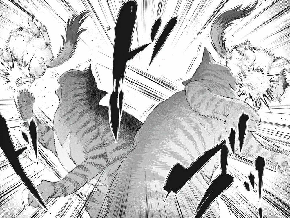 nyankees chapter 4 13