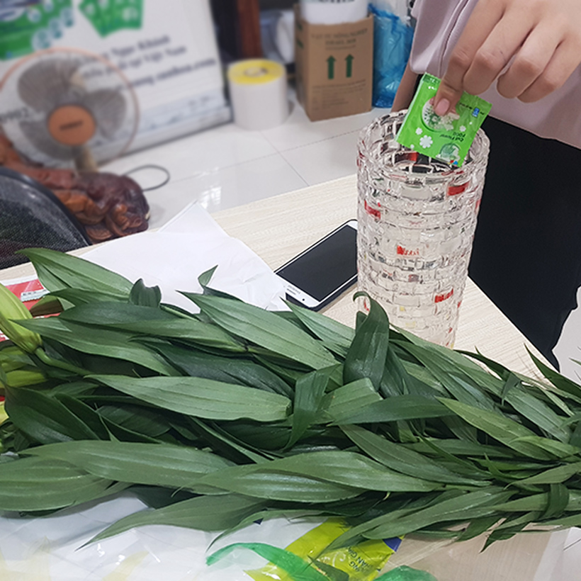 Bột Cắm Hoa Tươi Lâu Longlife Của Israel