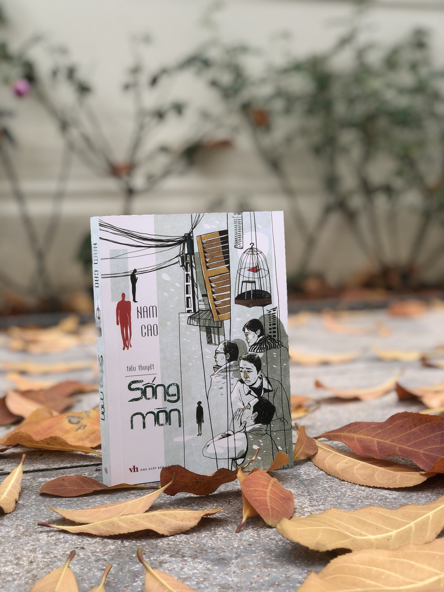 Sách: Tiểu Thuyết Sống Mòn