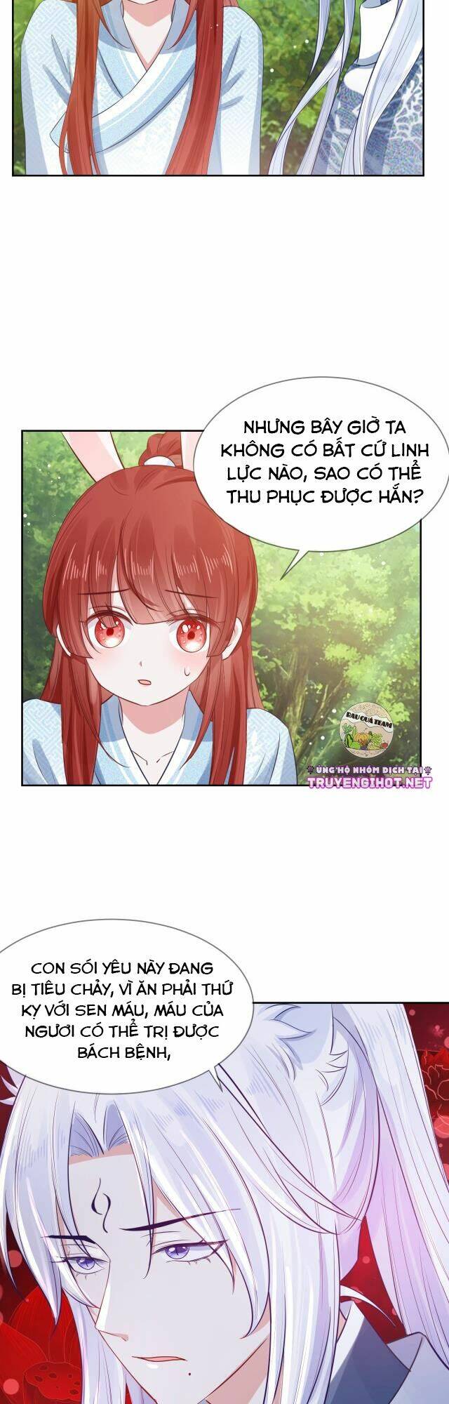 hắc hóa nam chính trực tuyến nuôi thỏ chapter 16 14