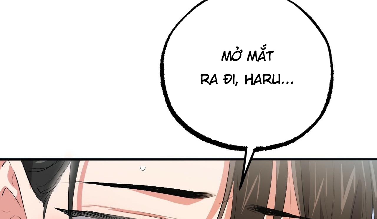 đàn thỏ của habibi chapter 50 238