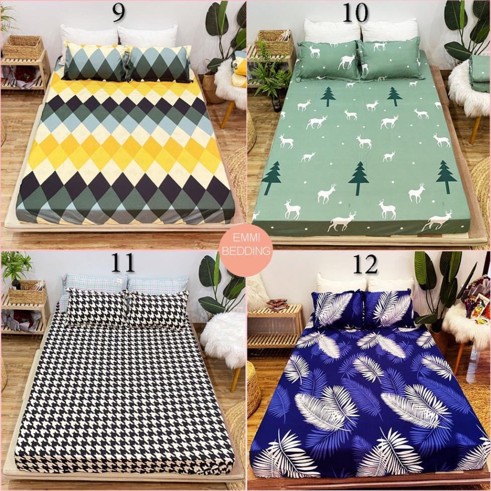 Bộ ga gối cotton poly