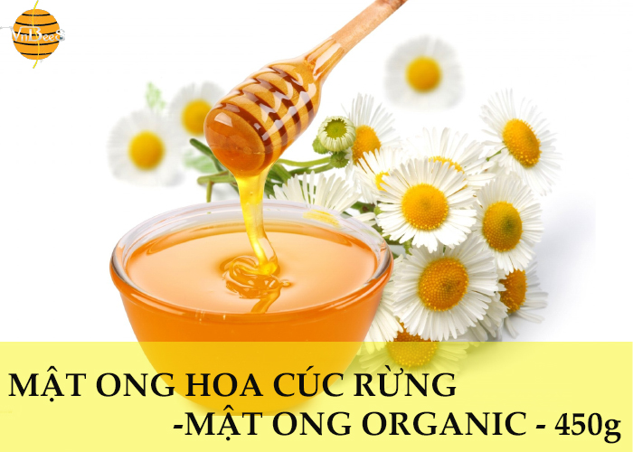 mật ong hoa cúc rừng điện biên - mật ong organic - mật ong vnbees - hũ mật ong 450g 1