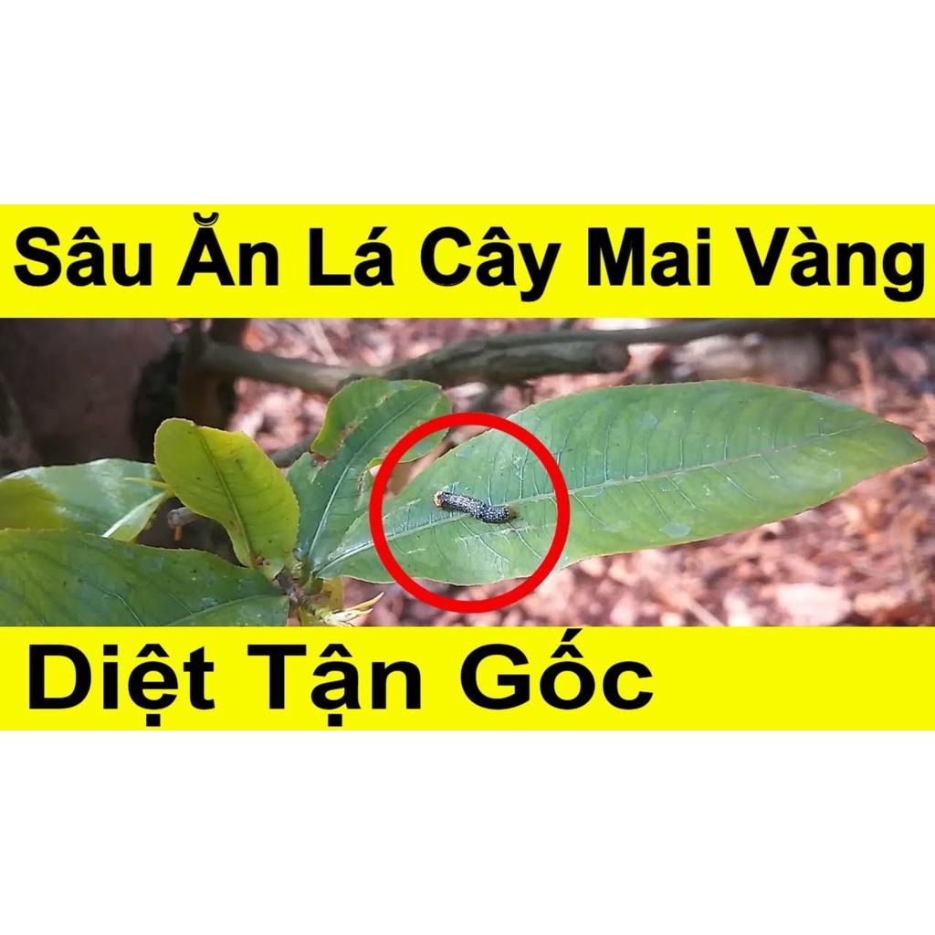 Diệt sâu ăn lá cây mai vàng Fanmax 50ml, có thể dùng trên các loại hoa cây cảnh khác