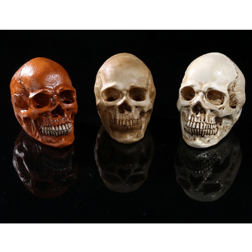 Đầu Lâu Giả Bằng Resin Dùng Trang Trí Halloween Độc Đáo