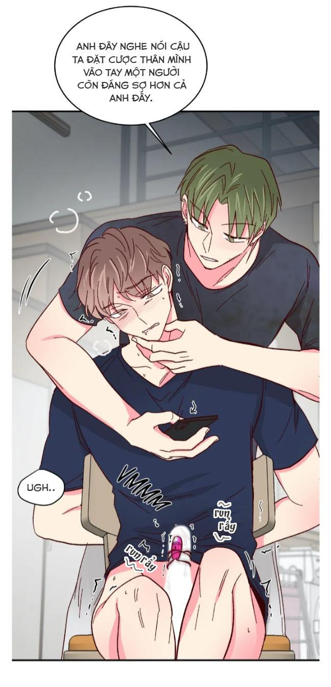 món tráng miệng của sếp tổng chapter 52 43