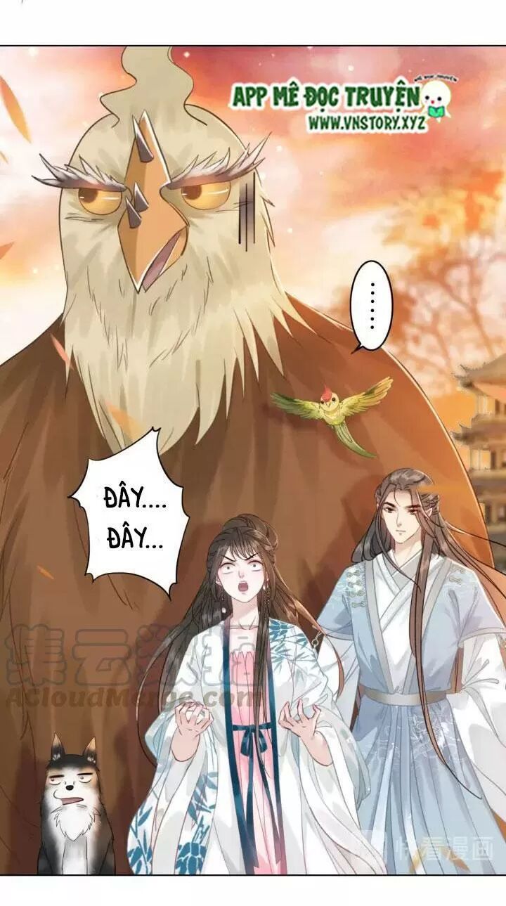 cực phẩm phế vật tiểu thư chapter 109 19