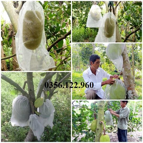 50 Túi Vải không dệt Bọc Mít kích thước 50x70cm Siêu Bền -Chống Ruồi, Chim, Côn Trùng Hút Chích, Chịu Nắng Mưa Qu