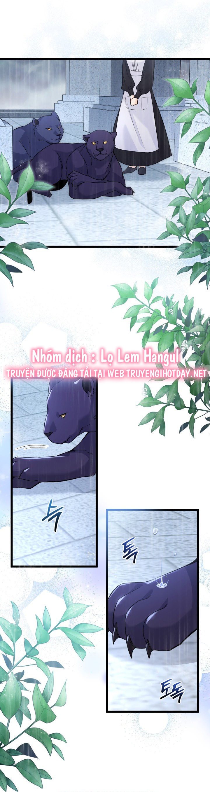 mối liên kết giữa báo đen và bé thỏ chapter 121 16