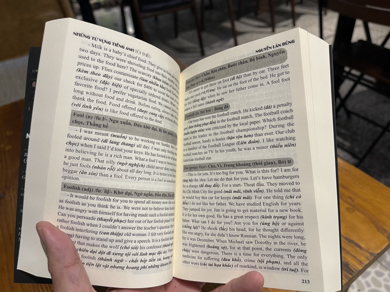 NHỮNG TỪ VỰNG TIẾNG ANH TỐI THIỂU – Nguyễn Lân Dũng – Hanoibooks - bìa mềm