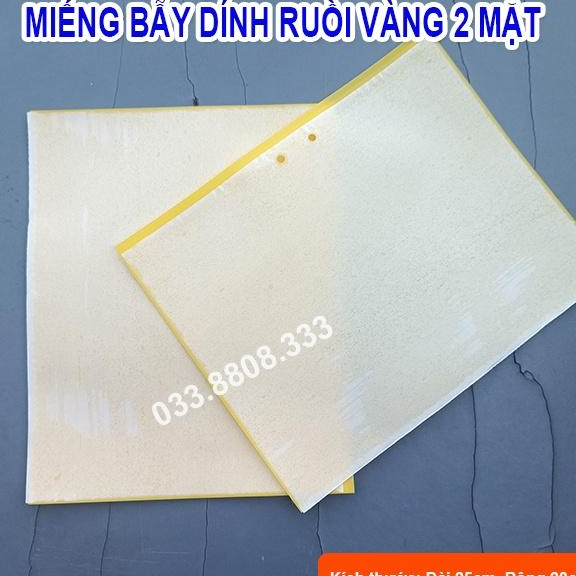 10 Miếng Dính Ruồi Vàng, Côn Trùng Hai Mặt - Hiệu Quả Nhanh, An Toàn - VTNN - DCLV