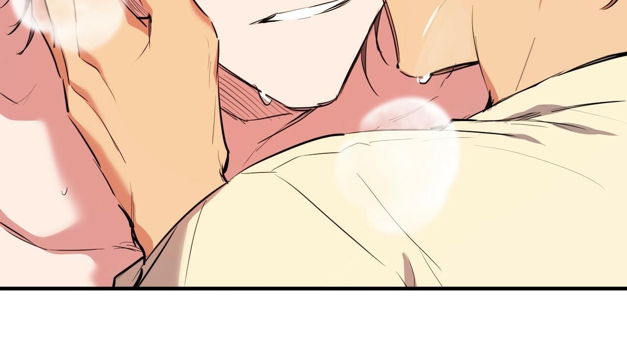 đàn thỏ của habibi chapter 38 205