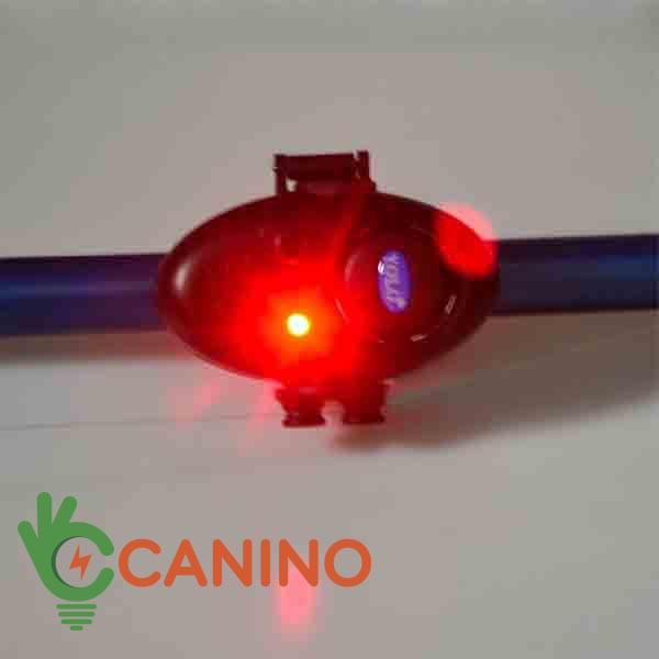 Báo động cá cắn câu v2