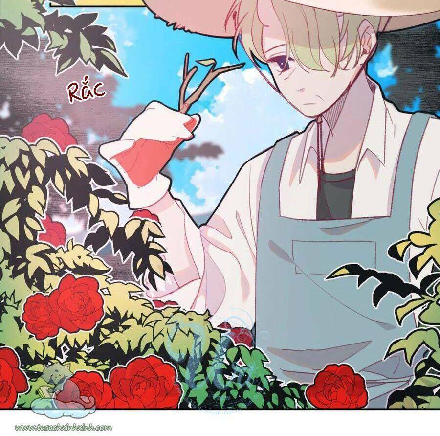 nhật ký nấm ma cô chapter 10 22