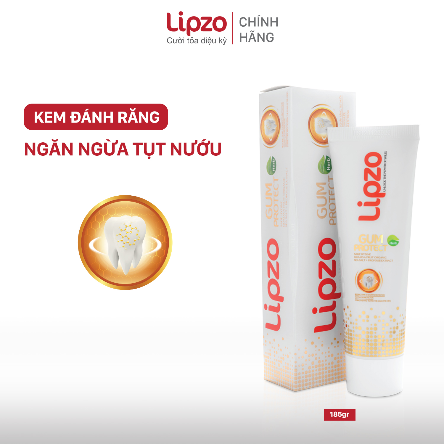 Kem Đánh Răng Dược Liệu Lipzo Gum Protect Chống Tụt Nướu 185g Ngăn Ngừa Chảy Máu Chân Răng, Khử Khuẩn, Răng Chắc Khỏe