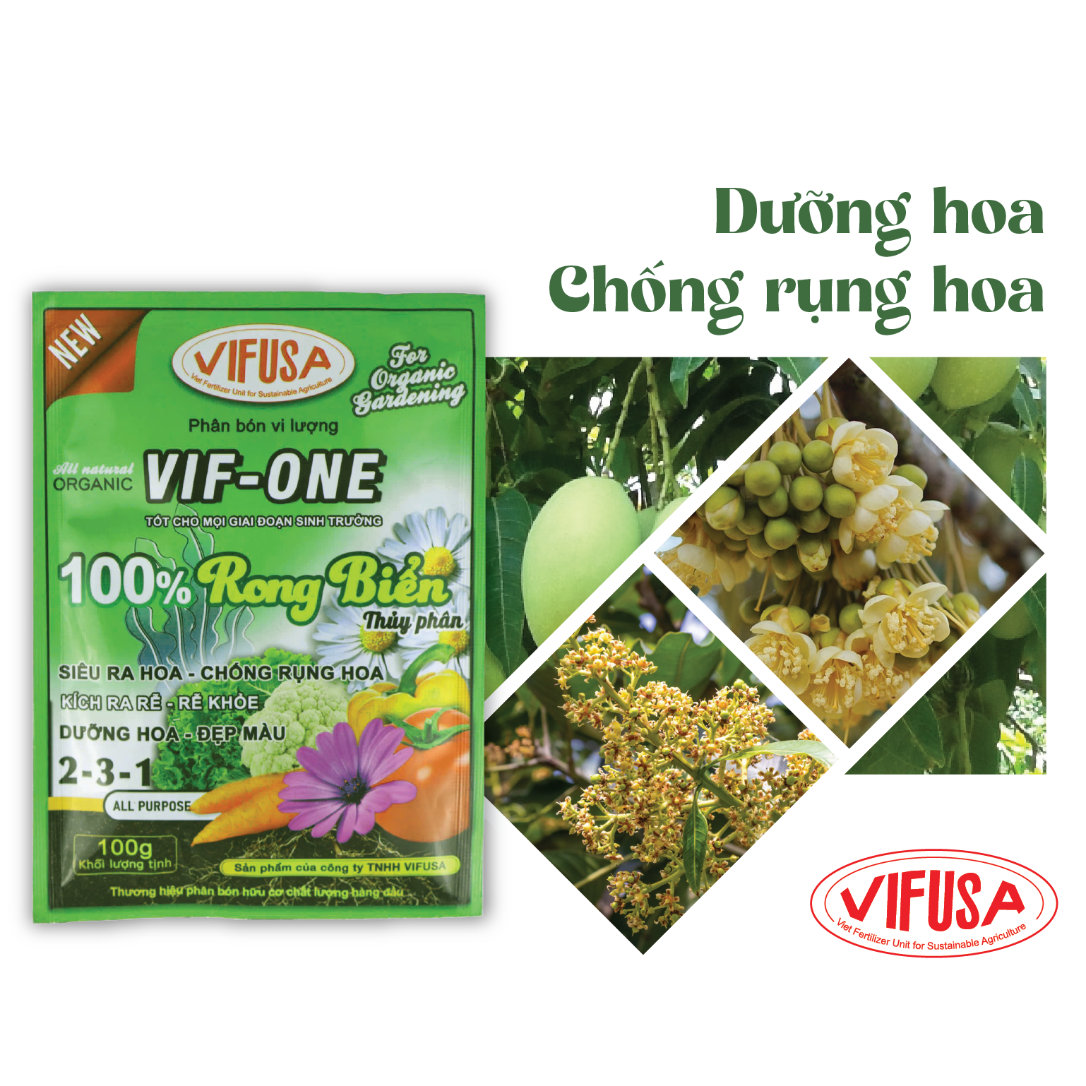 VIF-ONE - Phân bón rong biển gói 100g