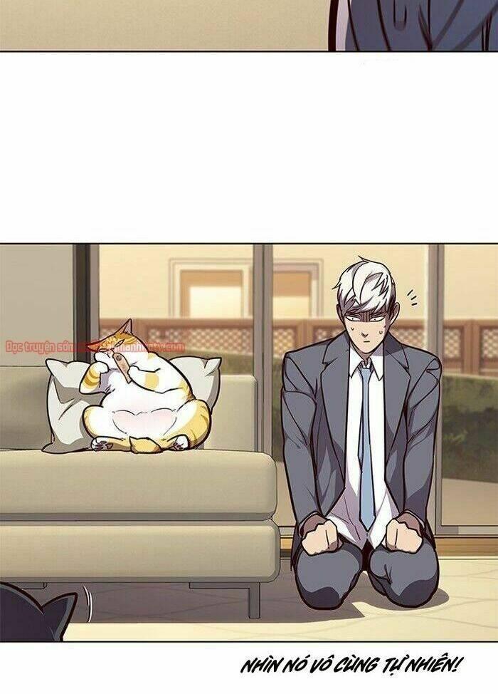 biến thân thành mèo chapter 50 11