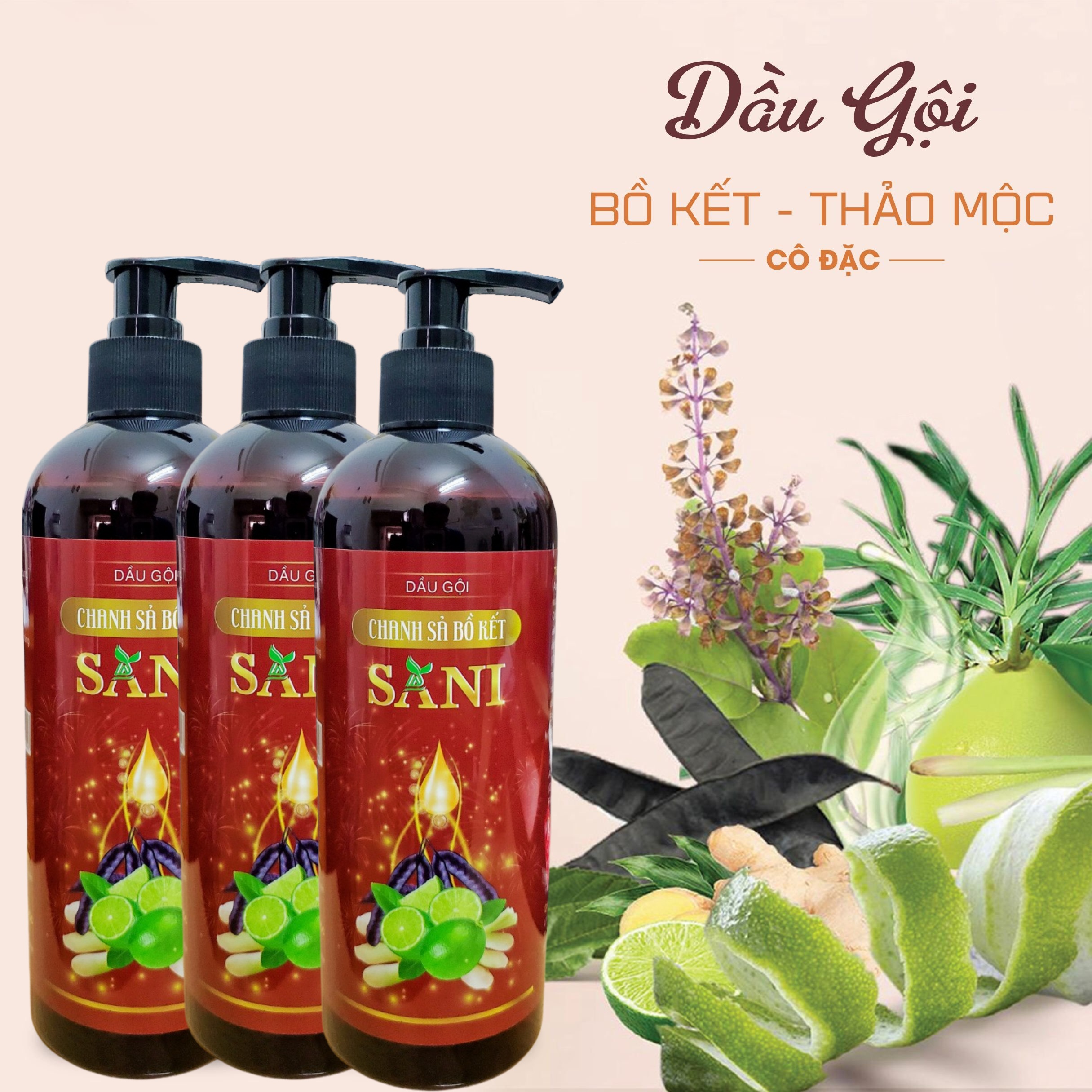 Dầu Gội Thảo Mộc Chiết Xuất từ Bưởi , Hương Nhu ,Mần Trầu, Bồ Kết SaNi 500ml - [ Tặng 1 chai dung dịch vs phụ nữ