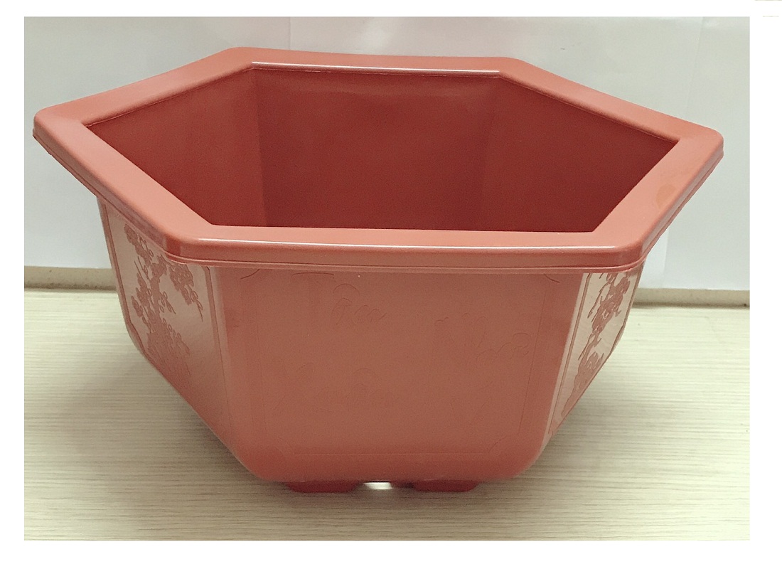 10 Chậu Nhựa Lục Giác Trồng Hoa, Cây Cảnh Bonsai 280x180