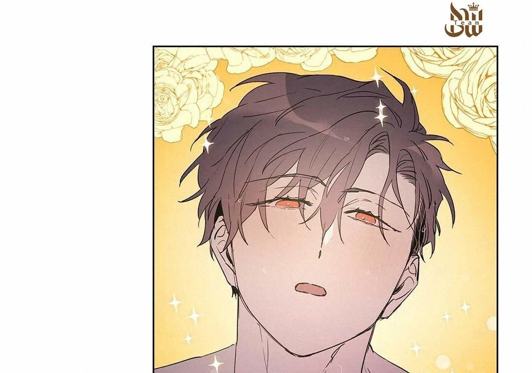 guide cấp b chapter 21 20