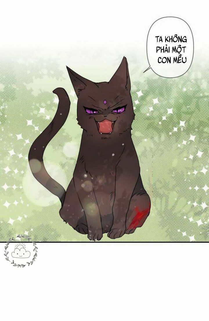 tôi đang nuôi dưỡng một con quái thú chapter 3 2