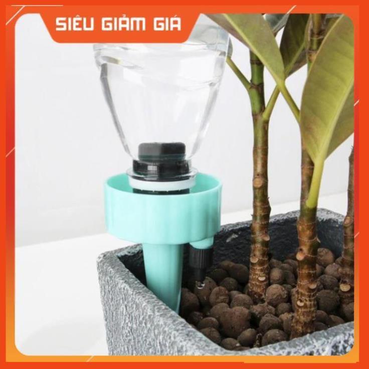 Set 12 que cắm tưới cây nhỏ giọt 206801