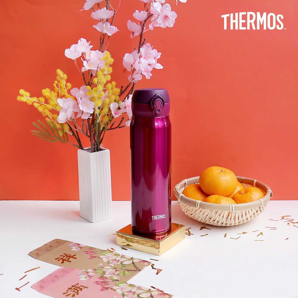 Bình giữ nhiệt Nhật Bản inox Thermos nút bấm 500ml JNL 502 SBR - Hàng chính hãng