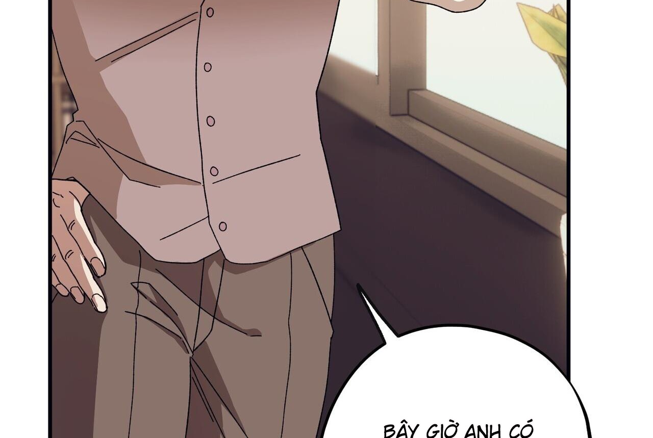 chàng dâu nhà họ kang chapter 43 162