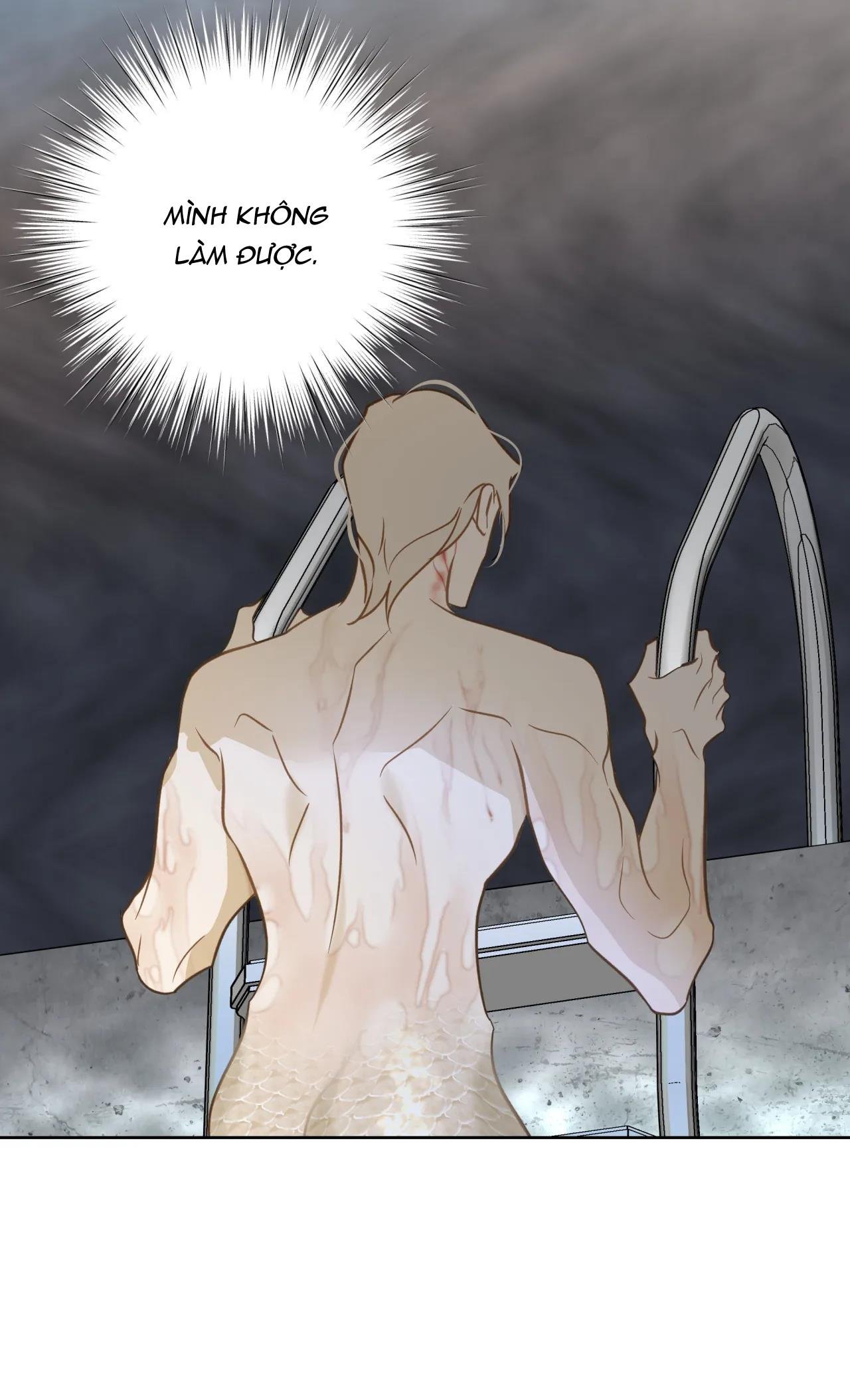 mỹ nhân ngư chapter 7 19