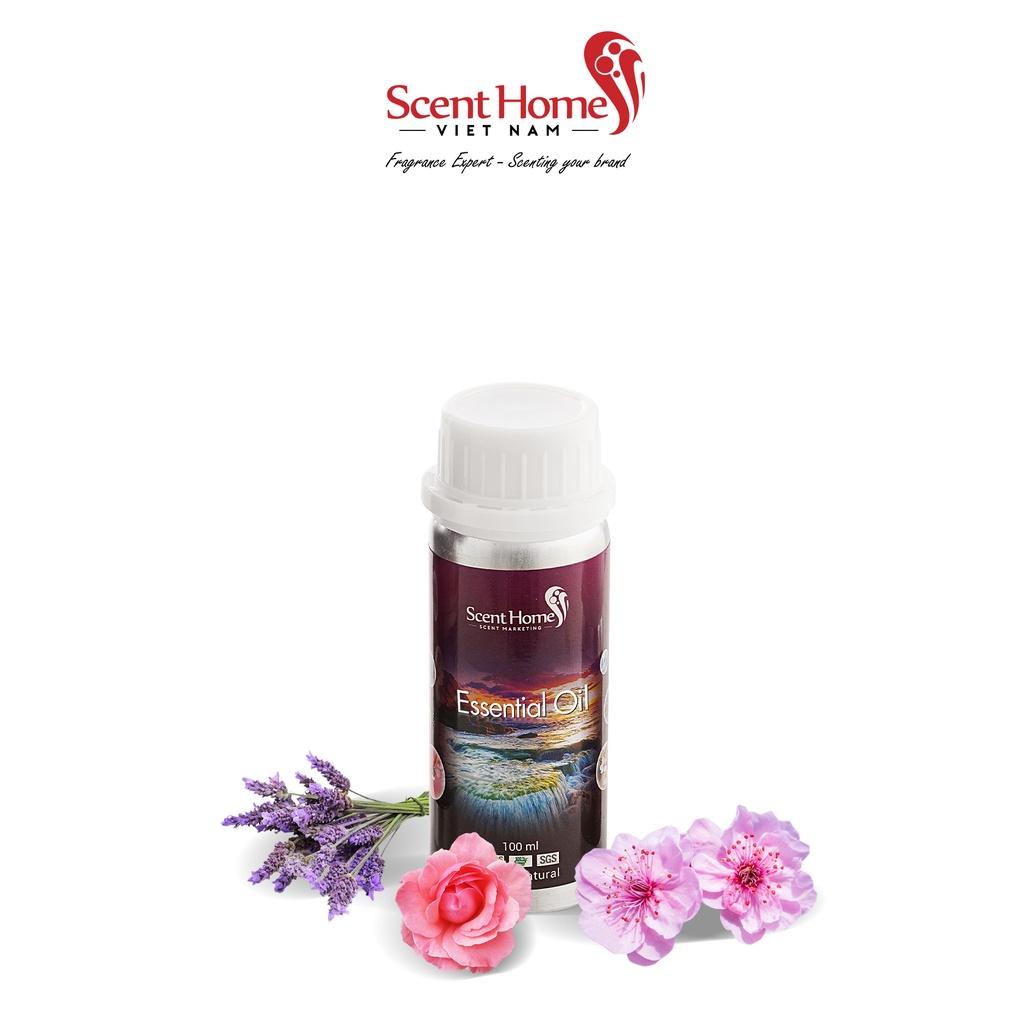 Tinh dầu Scent Homes - mùi hương