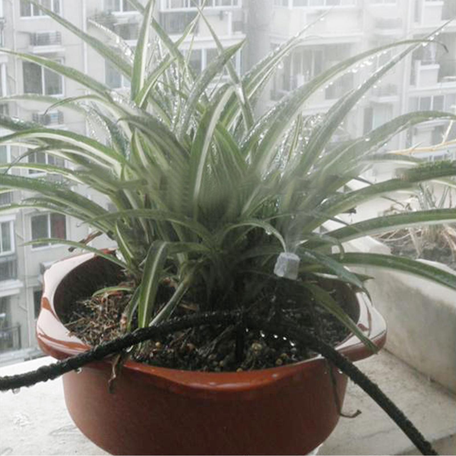 Bộ Tưới Phun Mù 10M Với Vòi Phun Nối Nhanh